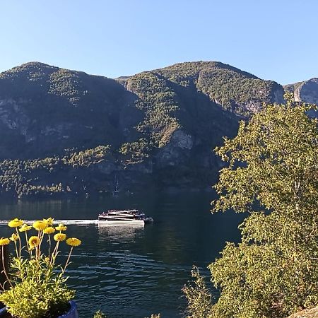 Otnes Sor Daire Aurland Dış mekan fotoğraf